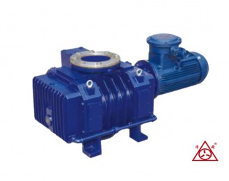 甘肅JZJFS系列羅茨-耐腐蝕液環真空機組